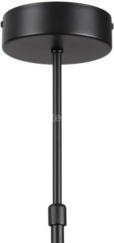 Потолочная люстра Lumion 8234/8C