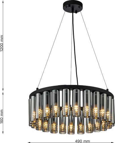 Подвесная люстра Favourite 4504-25P