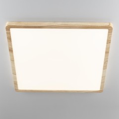 Настенно-потолочный светильник Citilux CL738K502V