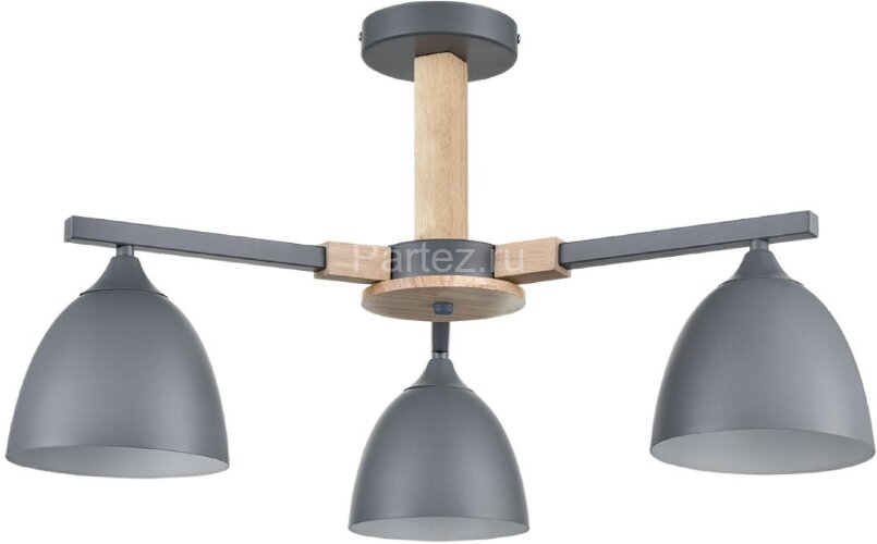 Потолочная люстра Lumion 8096/3C