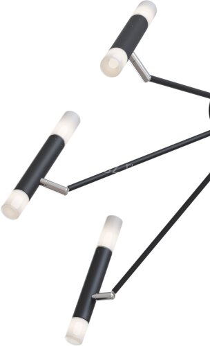 Потолочная люстра Maytoni MOD620CL-16B