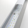 Настенный светильник Elektrostandard 101-100-40-78
