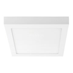Настенно-потолочный светильник Lightstar 324182