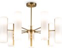 Потолочная люстра Freya FR5368CL-14BS