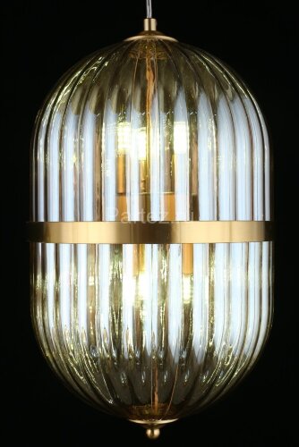 Подвесной светильник Aployt APL.860.06.30