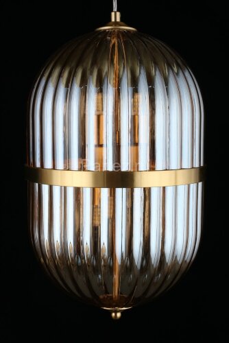 Подвесной светильник Aployt APL.860.06.30