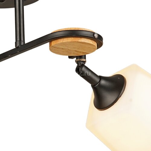 Потолочная люстра Reluce 04217-0.3-02 BK