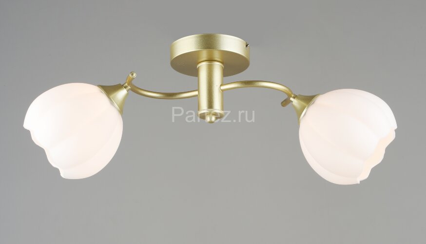 Потолочная люстра Мелодия Света 000066031