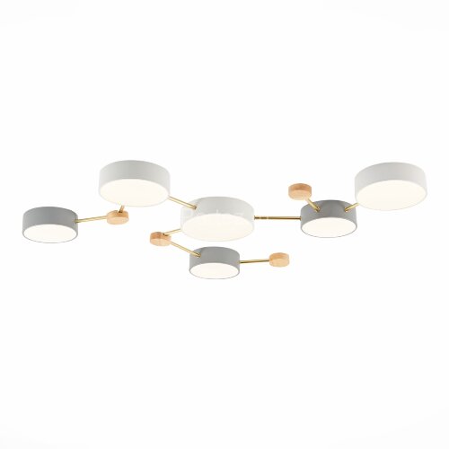 Потолочная люстра Evoluce SLE600102-06