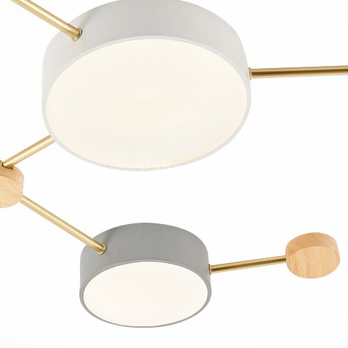 Потолочная люстра Evoluce SLE600102-06