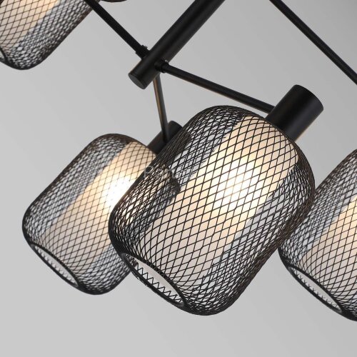 Потолочная люстра F-Promo 4602-6C