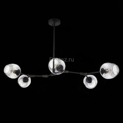 Потолочная люстра Evoluce SLE154843-05