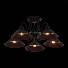 Потолочная люстра Evoluce SLE120402-05