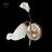 Бра MW-Light 242026601