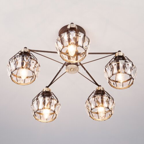 Потолочная люстра Eurosvet 70075/5 черный