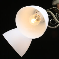 Потолочная люстра DeMarkt 677012705