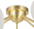 Потолочная люстра Maytoni MOD545CL-20BS