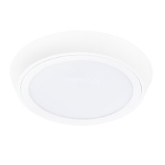 Настенно-потолочный светильник Lightstar 216902
