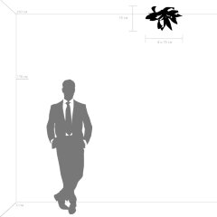 Потолочная люстра Lightstar 754169