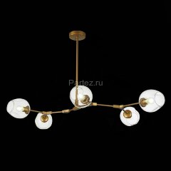 Потолочная люстра Evoluce SLE154823-05