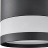 Потолочная люстра Lumion 8240/6C