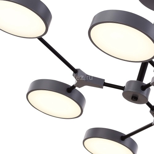 Потолочная люстра Evoluce SLE6003-702-06