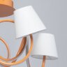 Потолочная люстра MW-Light 480012805