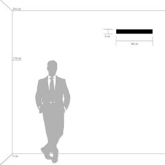 Настенный светильник Lightstar 810526
