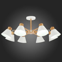 Потолочная люстра Evoluce SLE103702-08